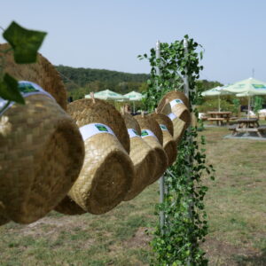 Séminaire corporate chapeaux guinguette - Arbre Vert - Agence événementielle Maven