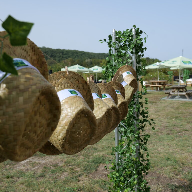 Séminaire corporate chapeaux guinguette - Arbre Vert - Agence événementielle Maven