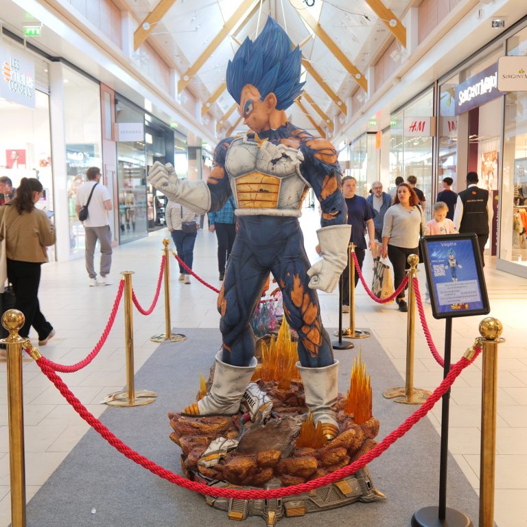 Festival Manga animation retail - décor - Aushopping Promenades de Brétigny – Agence Maven
