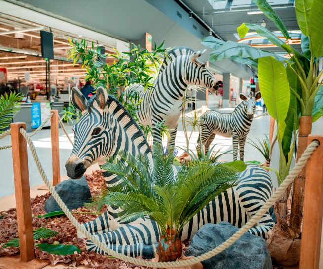 Safari Express animation immersive centre commercial – zèbres - opération d'envergure Maven