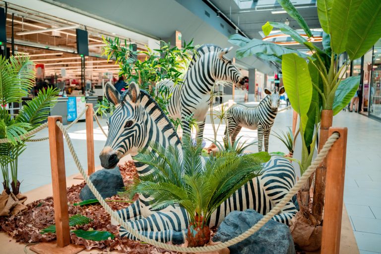 Safari Express animation immersive centre commercial – zèbres - opération d'envergure Maven